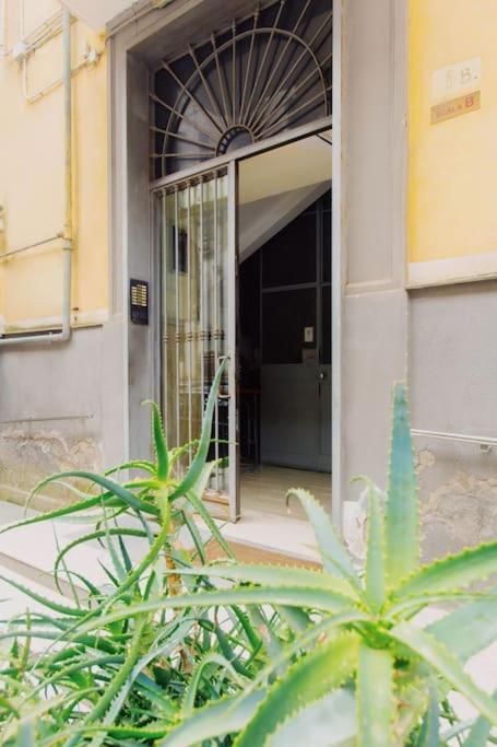 Mann House Napoli Apartment Екстериор снимка